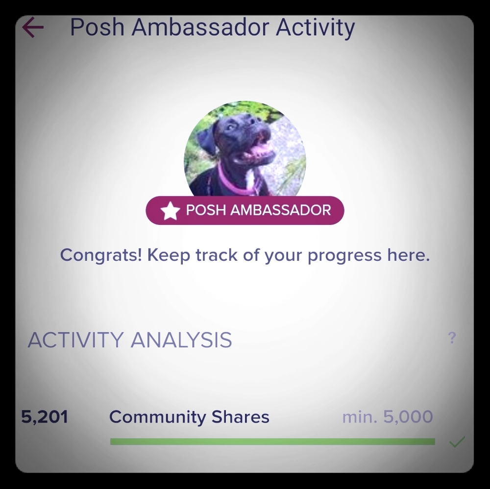 Posh Ambassador!